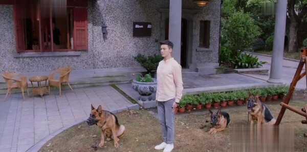 �Ϸ�����ľ�ּ��������