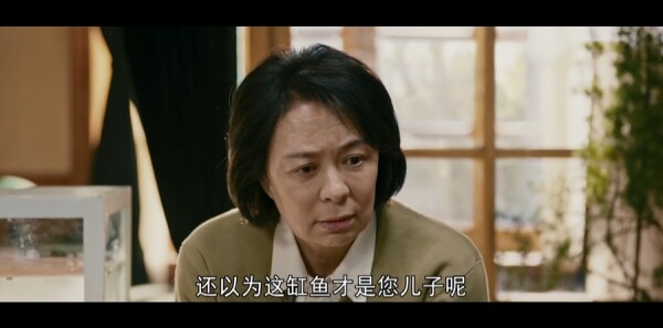 ���е���Ƭ���ּ��������