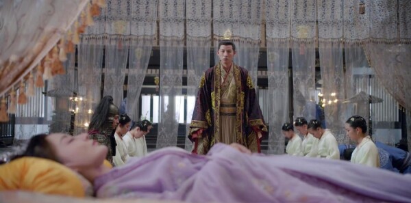 ���»ʺ�ּ��������