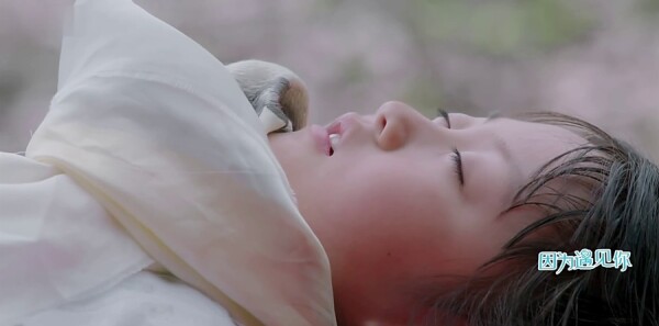 ��Ϊ������ּ��������