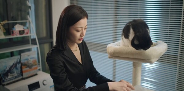 ���߷ּ��������