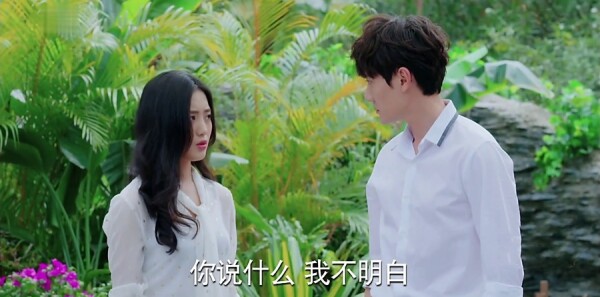 ��Ƭ�ǿ���Ƭ���ּ��������