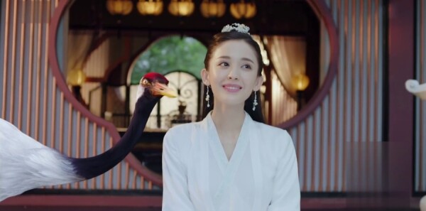 ����Ƿּ��������