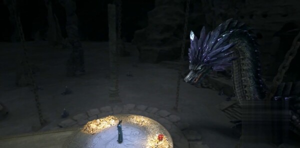 ����Ƿּ��������