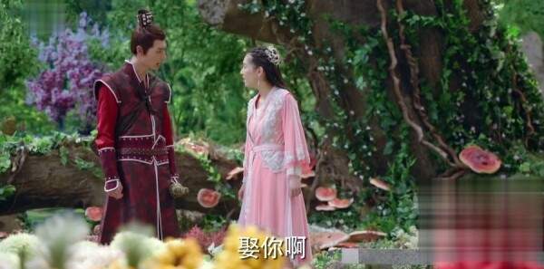 ����Ƿּ��������