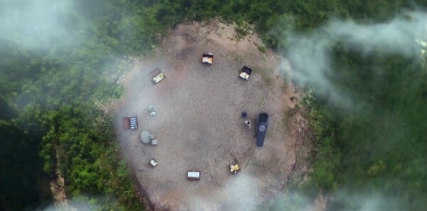 ����Ƿּ��������