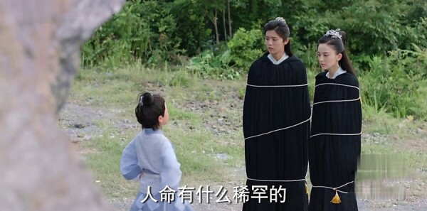 ����Ƿּ��������