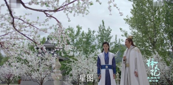 ����Ƿּ��������