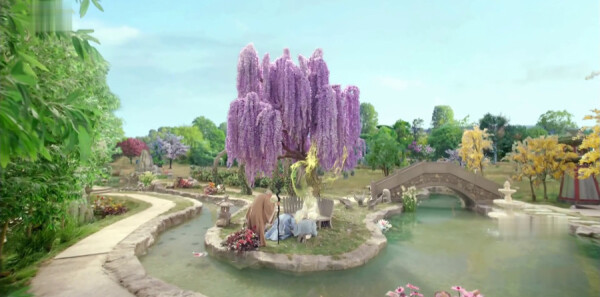 ����Ƿּ��������