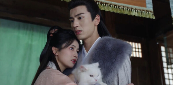 �������ηּ��������