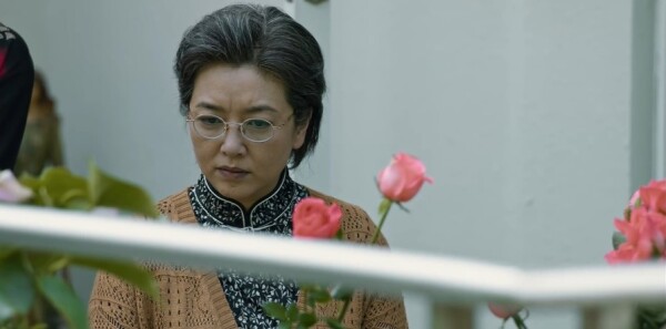 但愿人长久分集剧情介绍