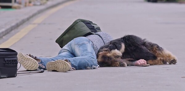 �ϰֵ��ҷּ��������