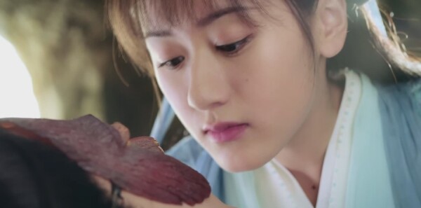 �����ּ��������