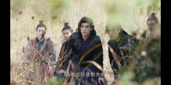 ���������Ƿּ��������