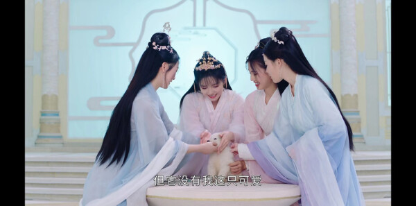 ���������Ƿּ��������