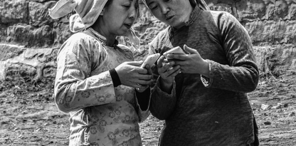 ��ͦ�÷ּ��������