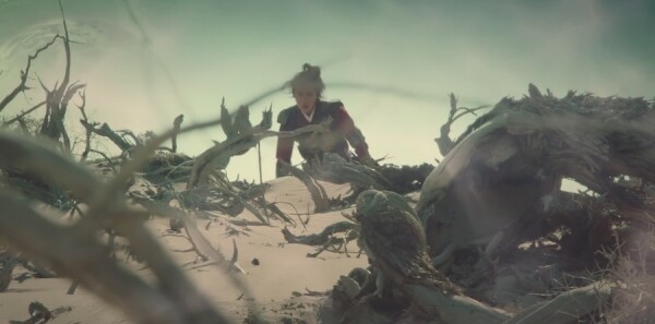 �䶯Ǭ��֮Ӣ�۳�����ּ��������