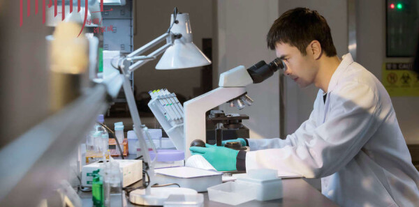 ���������ּ��������