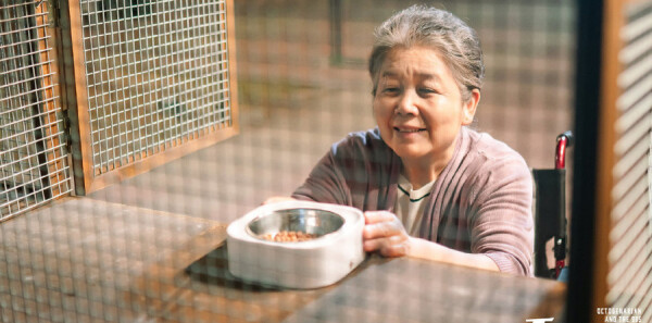 �������ּ��������