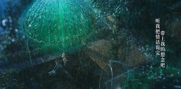 ˾�ٷּ��������