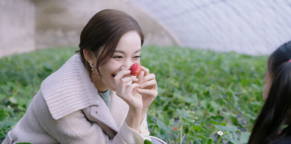 �����ױȵ������ּ��������