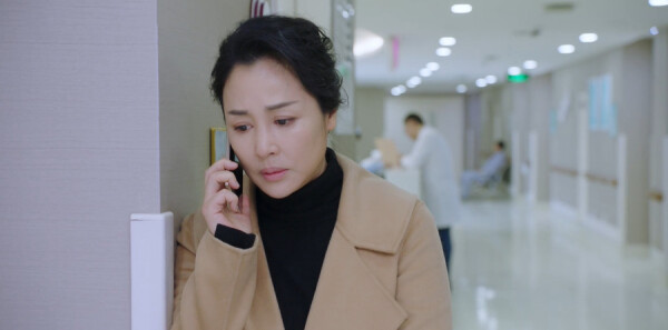 �����ױȵ������ּ��������