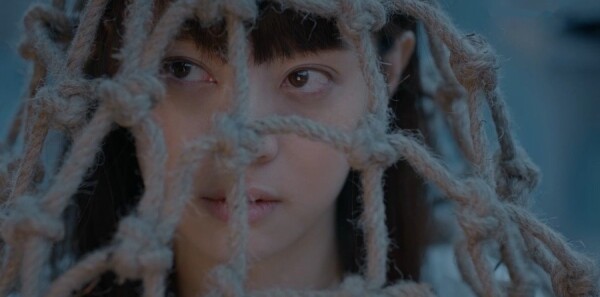 ���껨������Բ�ּ��������