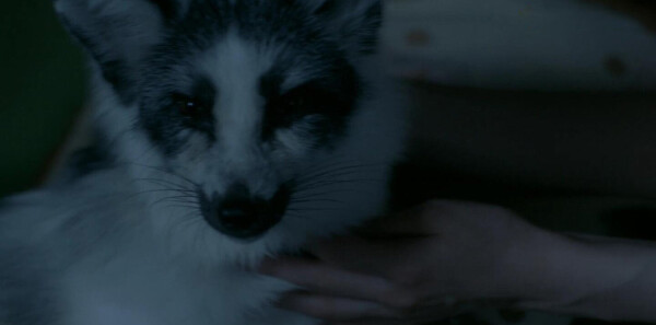 �ᰮ��ǧ����˵ĳ����ּ��������