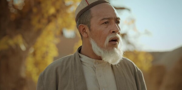 ������������������Ƿּ��������