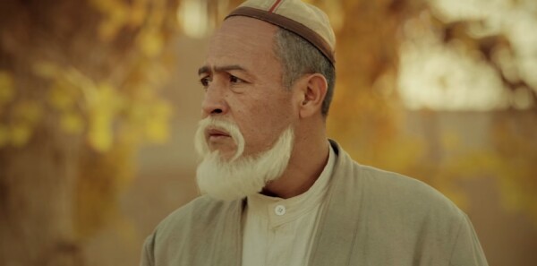 ������������������Ƿּ��������