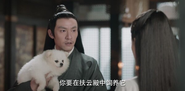 �ϫԵ�ּ��������