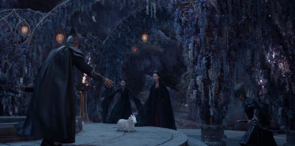 �ϫԵ�ּ��������