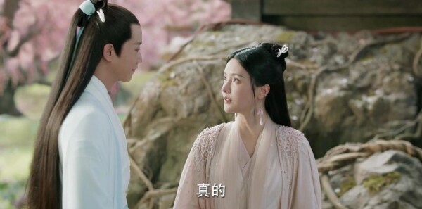 �ϫԵ�ּ��������