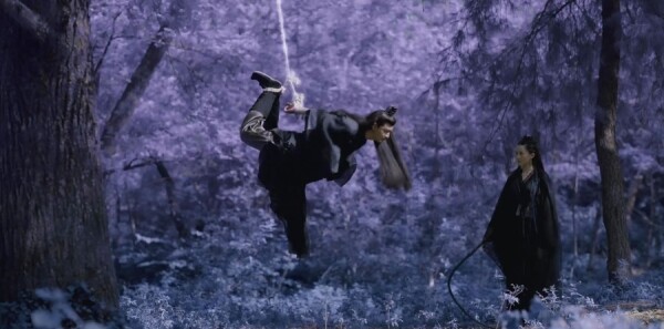 �ϫԵ�ּ��������