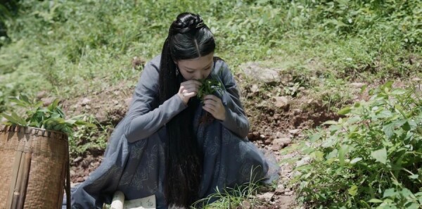 �ϫԵ�ּ��������