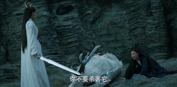 �ϫԵ�ּ��������