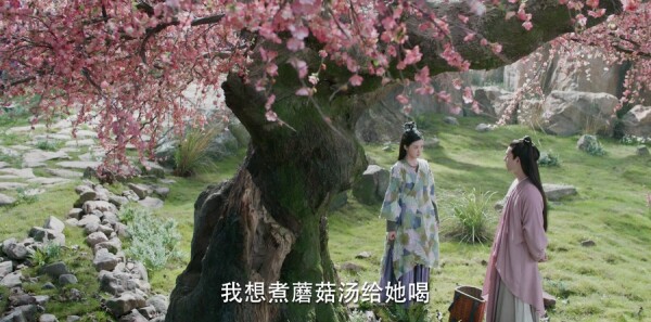 �ϫԵ�ּ��������