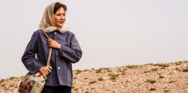 山海情分集剧情介绍