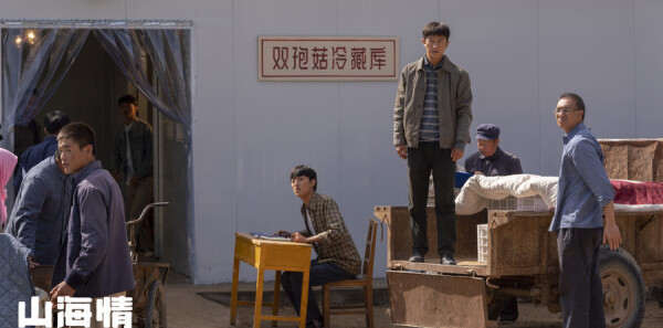 ɽ����ּ��������