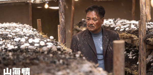 ɽ����ּ��������