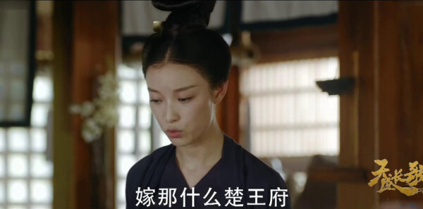 天盛长歌分集剧情介绍