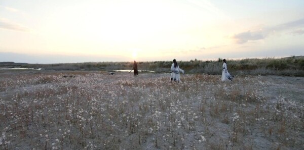 ç�ļͷּ��������