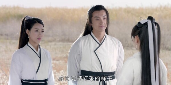 ç�ļͷּ��������