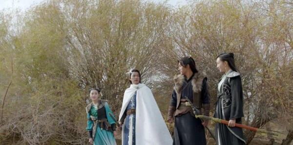 ç�ļͷּ��������