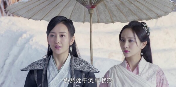 ç�ļͷּ��������