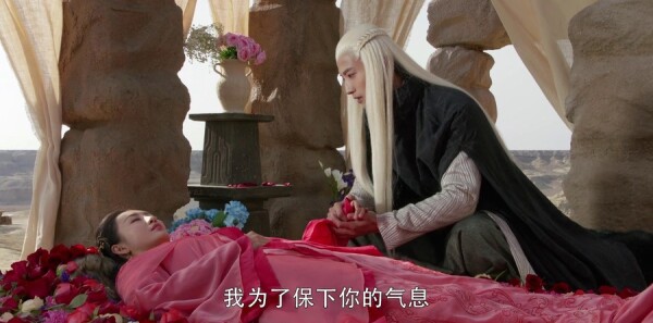 ç�ļͷּ��������