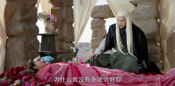 ç�ļͷּ��������