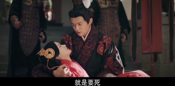 ��紫�ּ��������