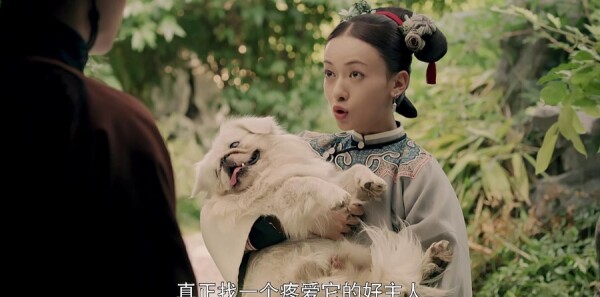 �������Էּ��������