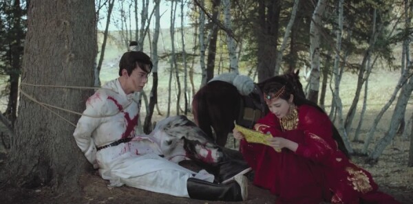 东宫分集剧情介绍